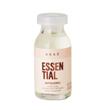 Braé Essential Ampola Condicionante Power Dose Antiquebra 13ml
Código 11690
EAN 7898667822089